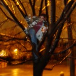 Tree Assassin with Night Angel book