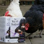 Chickens with Way of Shadows
